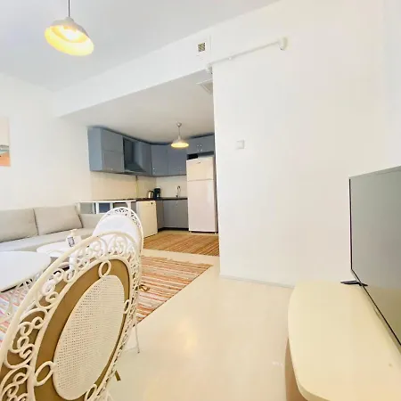 Modern Flat Near Istiklal Street In Beyoglu Διαμέρισμα